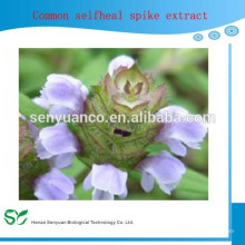 Planta Diuretic Selfheal Erva Extract